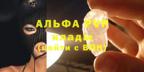 стафф Арсеньев