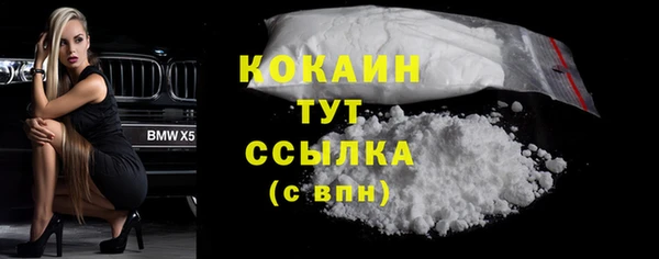 стафф Арсеньев