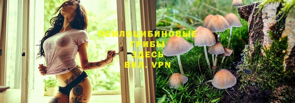 бутират Армянск