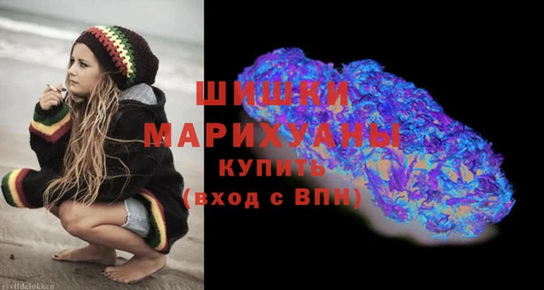 стафф Арсеньев